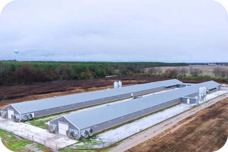 CHICKEN COOP / CHICKEN FARMS